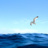 glarenia
